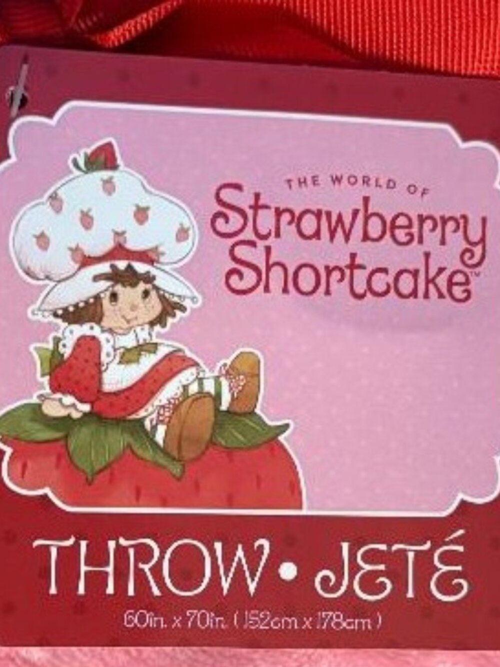 NEW BEAUTIFUL STRAWBERRY SHORTCAKE & KITTY CUSTARD 60" X 70" PLUSH THROW BLANKET - Picture 5 of 13